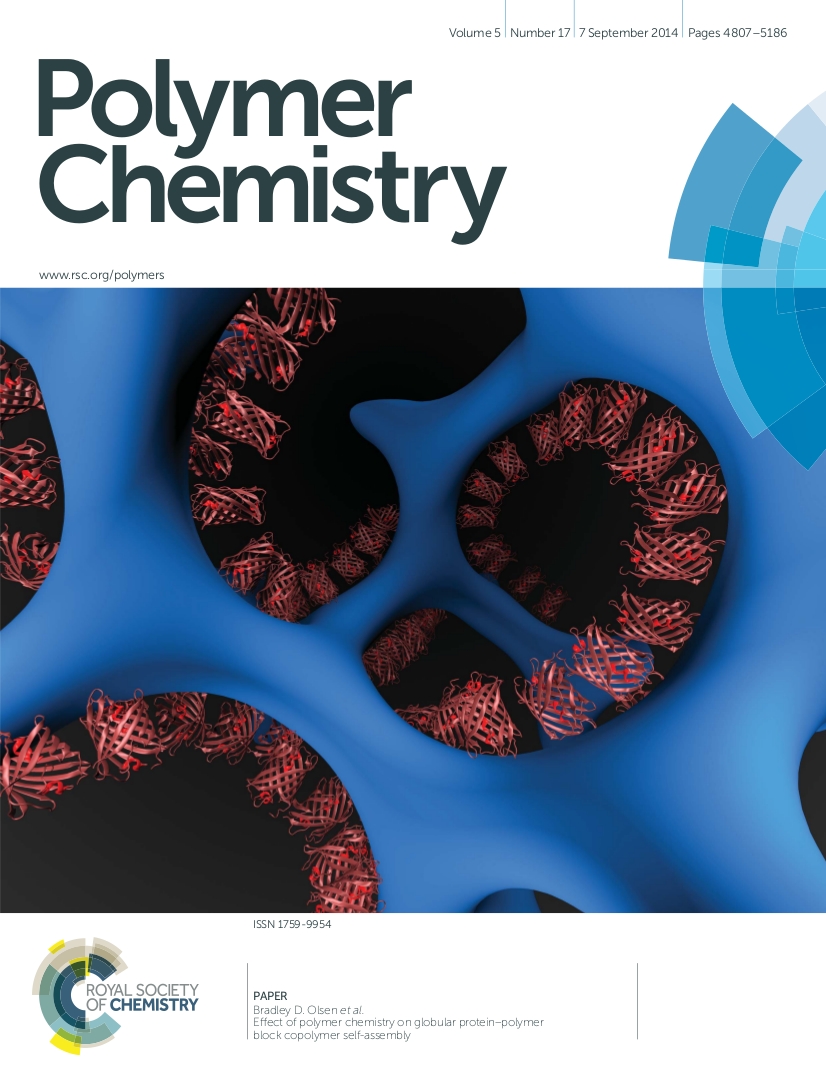 Chang 2014 PolyChem cover