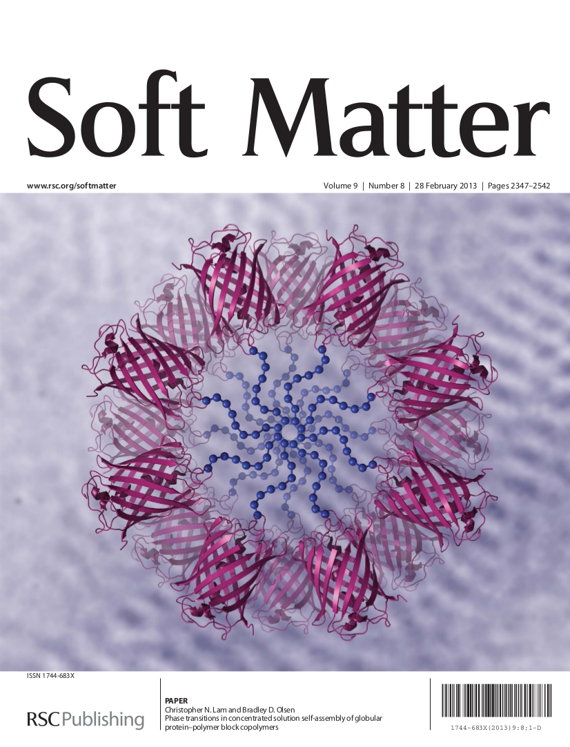 Lam 2012 Soft cover