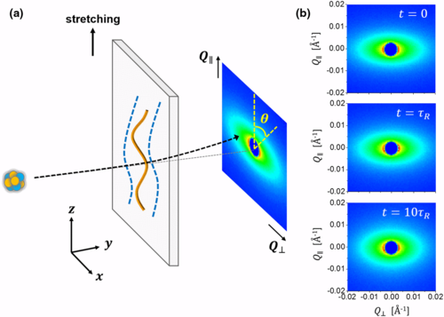 Wang 2017 PhysRevX TOC